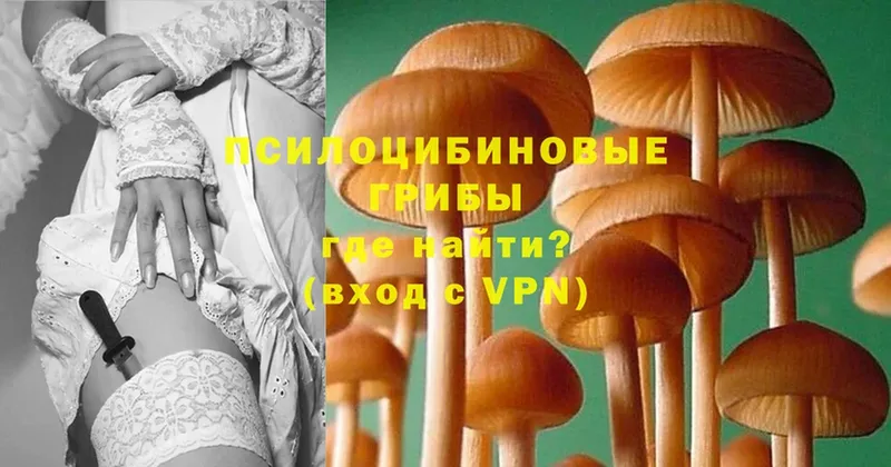 МЕГА   Жигулёвск  Галлюциногенные грибы Magic Shrooms 